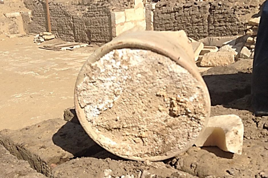 Il formaggio più vecchio del mondo ha 3.200 anni
