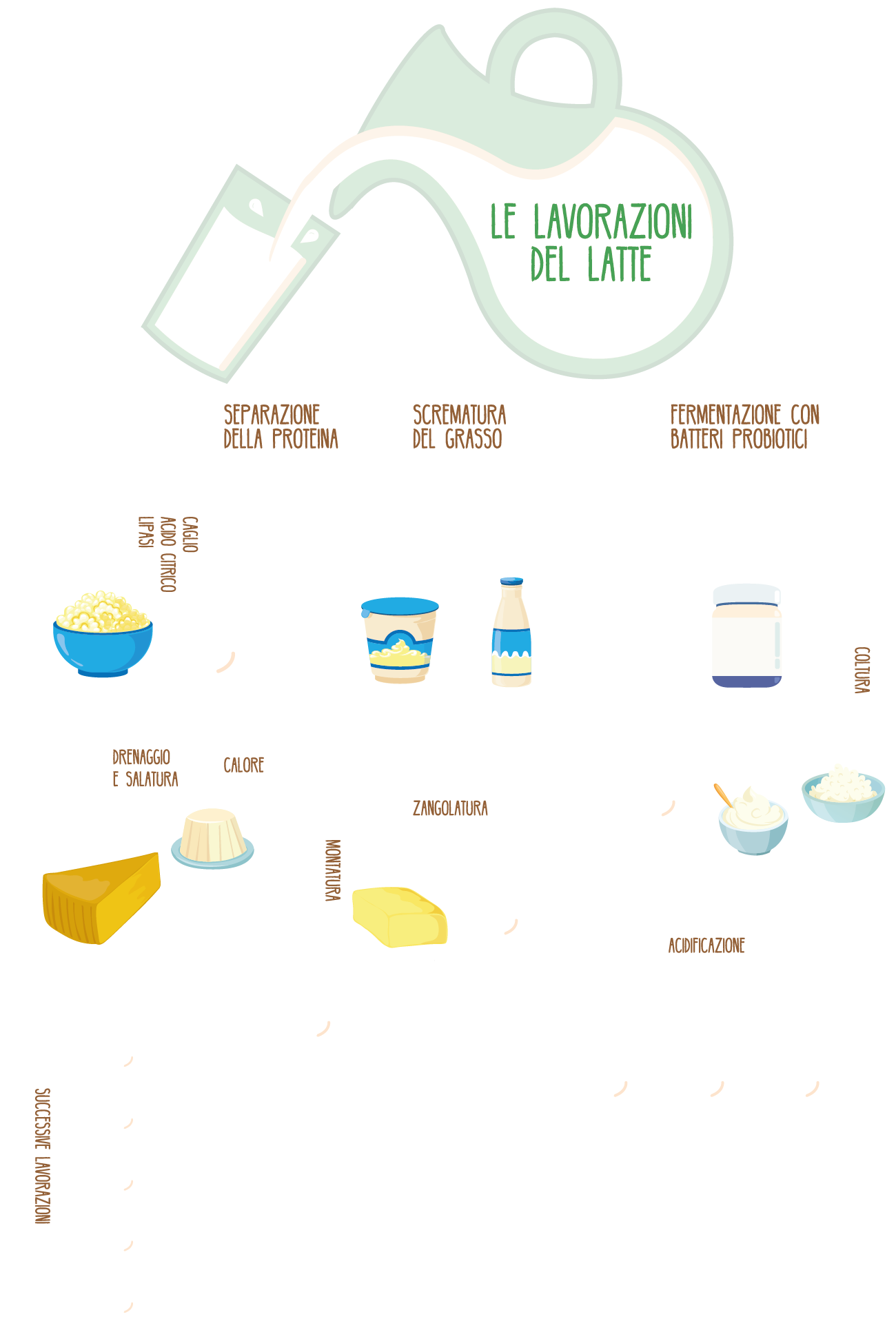 Le lavorazioni del latte e i suoi prodotti