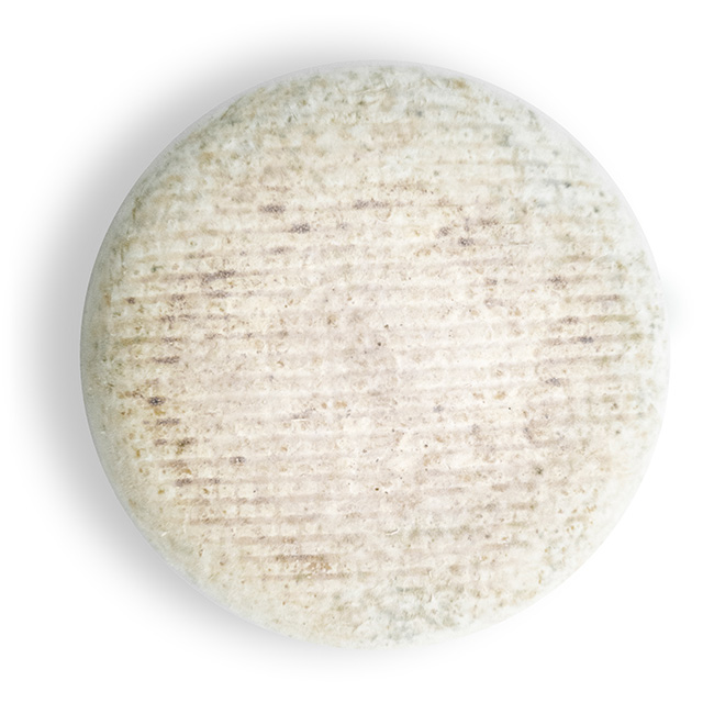Benedettino aged cheese refined in beeswax